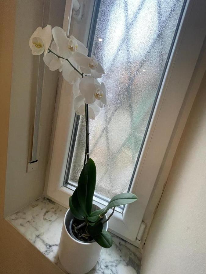 トリノHappy House Lingottoアパートメント エクステリア 写真